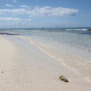 Isla Saona Sandy Beach