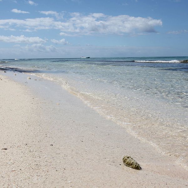 Isla Saona zandstrand van Christine aka stine1