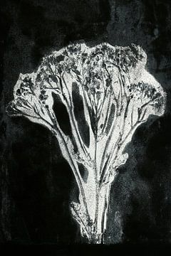 Witte bloem in retrostijl. Moderne botanische minimalistische kunst in zwart en wit. van Dina Dankers