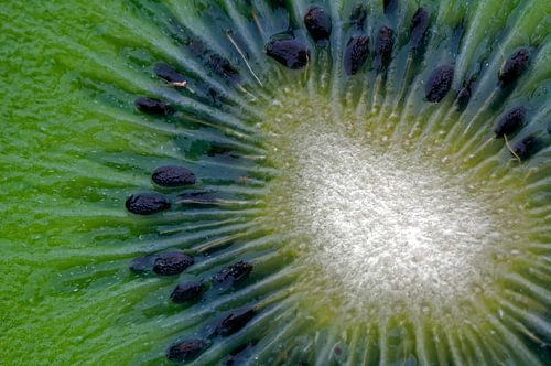 kiwi
