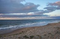 texel van Angela Wouters thumbnail