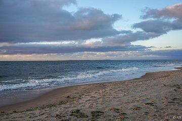 texel by Angela Wouters