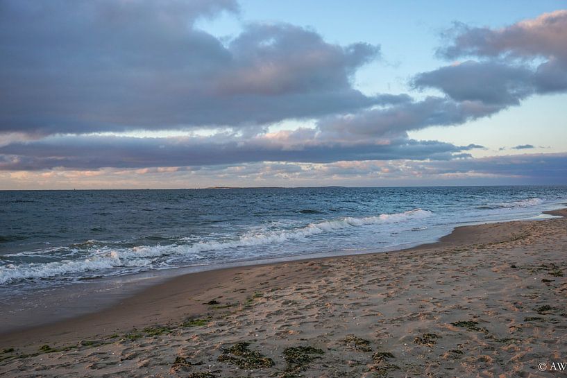 texel par Angela Wouters