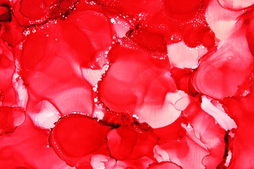 Red / Rood / Rouge/ Rot