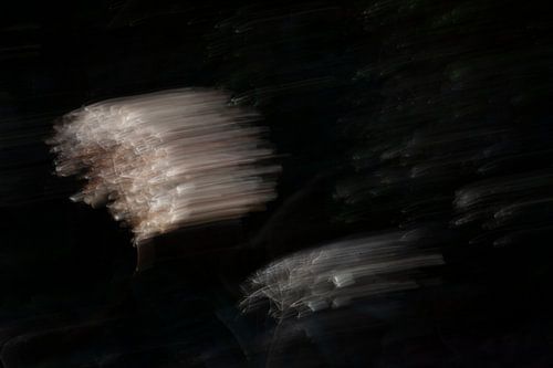 Abstracte, wazige foto van verdorde hortensia (ICM techniek)