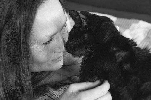 .... van Ellen Driesse