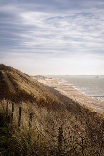 Uitzicht vanaf de duinen in Zoutelande