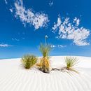 NEW MEXICO White Sands National Monument van Melanie Viola thumbnail