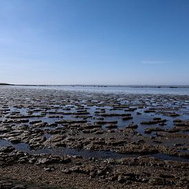 Das Wattenmeer von Aurélie Lestingi
