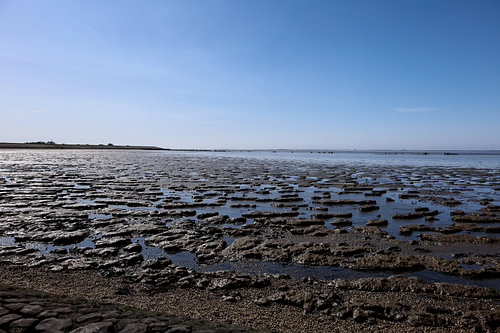 Das Wattenmeer