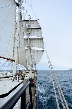 Sailing off Svallbard / Spitsbergen with the Antigua by Martin Jansen