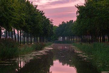 de Linge in het blauwe uurtje van Tania Perneel