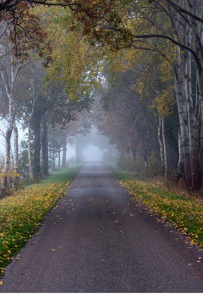 Colours of autumn by Manon Zandt