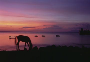 MOYOGALPA OMETEPE LAGO NICARAGUA by Richard Wareham