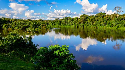 Paloemeu (sometimes spelled Palumeu) is an indigenous village .