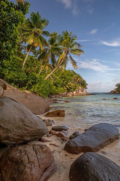Anse Royale (Mahe / Seychellen) von t.ART