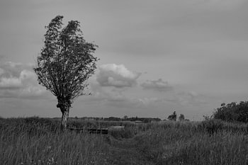 Venez vous asseoir dans le Wieden