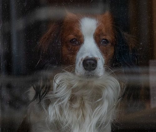 Durch ein Fenster starren