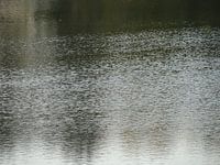 Aan de Waal