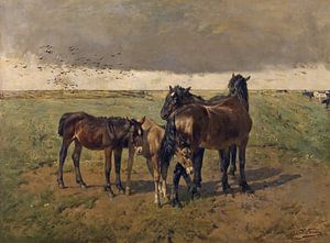 Fohlen auf der Wiese, Alfred Verwee