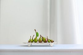 Family by Diane Cruysberghs