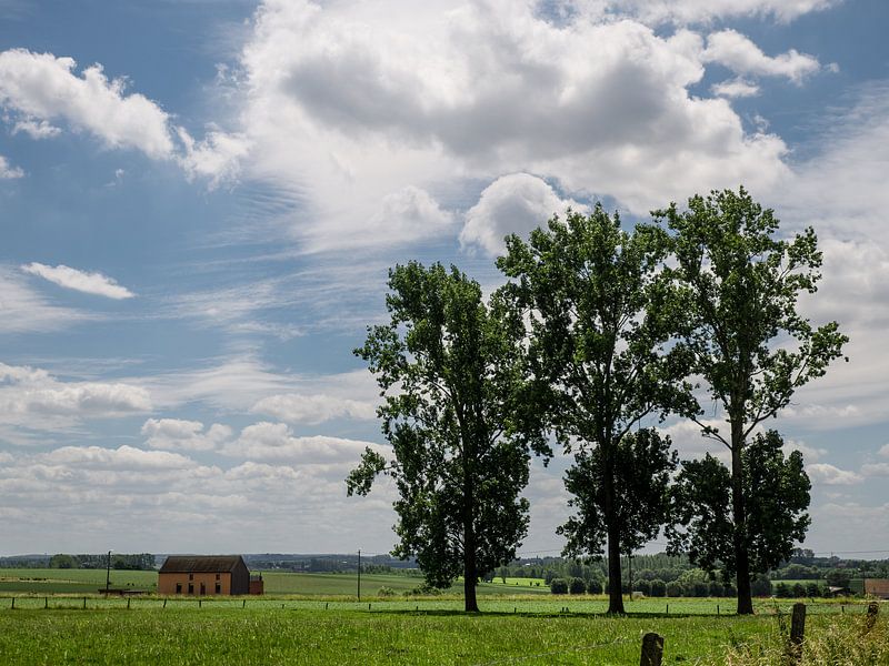 Landelijk groen in het Pajottenland van Ronald De Neve