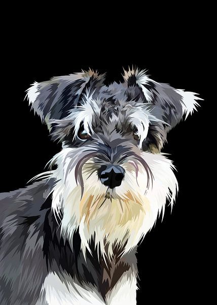 Schnauzer hond vector van IHSANUDDIN .