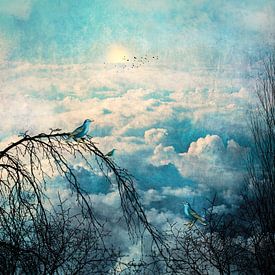 HEAVENLY BIRDS III-B Portrait von Pia Schneider