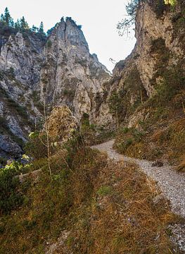 Chute d'eau s'écoulant dans les gorges de Gleiersch près de Scharnitz dans les Alpes autrichiennes. sur Miriam Schwarzfischer Fotografie
