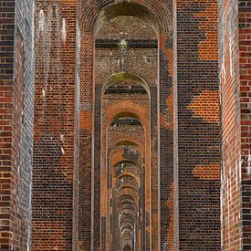 Ouse Valley Viaduct, Sussex, England by Nynke Altenburg