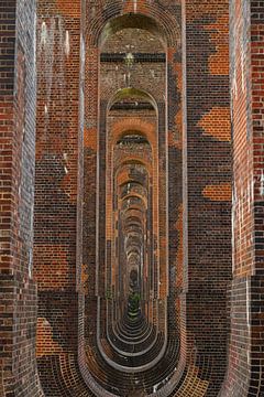 Ouse Valley Viaduct, Sussex, England van Nynke Altenburg