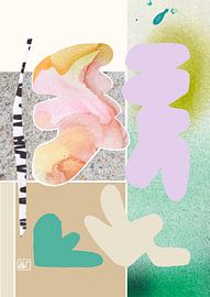 Soft Reframe by Henriette Visscher