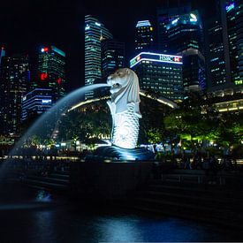 Singapore Merlion met het Central Business District von Rutger Kuus