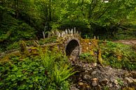 Scotland, Fairy Bridge by Edwin Kooren thumbnail