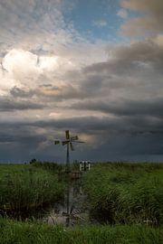 Molentje wacht op de storm van Rop Oudkerk