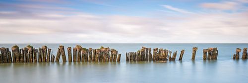 Alter Seedeich im IJsselmeer