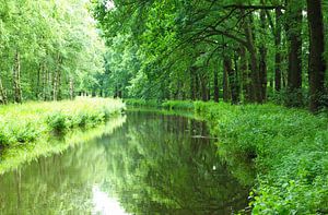 Flusslandschaft an der Hase