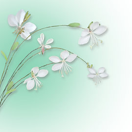 Gaura Lindheimeri trots en sierlijk van Carla Baartman - Fun and Digital Art