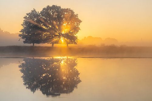 Landschap van bomen en zonnestralen die reflecteren in het water,  reflectie, weerspiegeling, zonneharpen