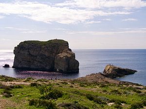 Fungus Rock dans la baie de Dwejra