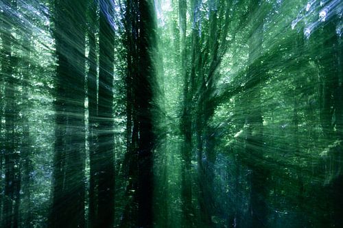 Les lumières vous montreront le chemin