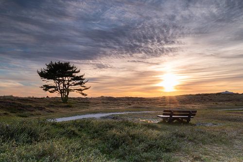 Genieten van de rust in de Grafelijkheidsduinen te Den Helder