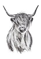 Watercolor Scottish Highlander black and white