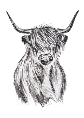 Aquarelle Highlander écossais noir et blanc