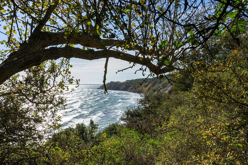 View of the fishing village of Vitt at Cape Arkona on the island of Rügen Landscape Baltic Sea coast by Animaflora PicsStock