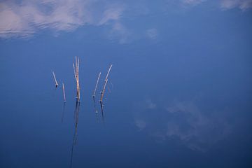 Reflectie van een paar takjes en wolken in de blauwe lucht in het water