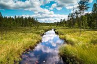 Wunderschöner Fluss in Schweden Provinz Dalarna von Henk Hulshof Miniaturansicht