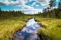 Prachtig riviertje in Zweden provincie Dalarna