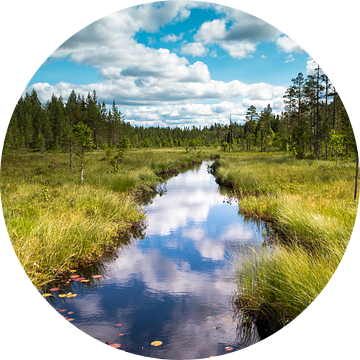 Prachtig riviertje in Zweden provincie Dalarna van Henk Hulshof