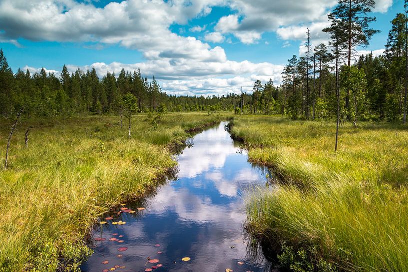 Wunderschöner Fluss in Schweden Provinz Dalarna von Henk Hulshof